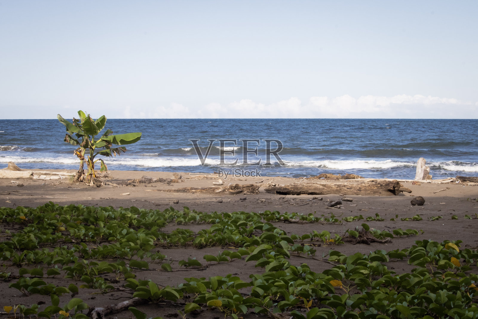 哥斯达黎加海滩照片摄影图片