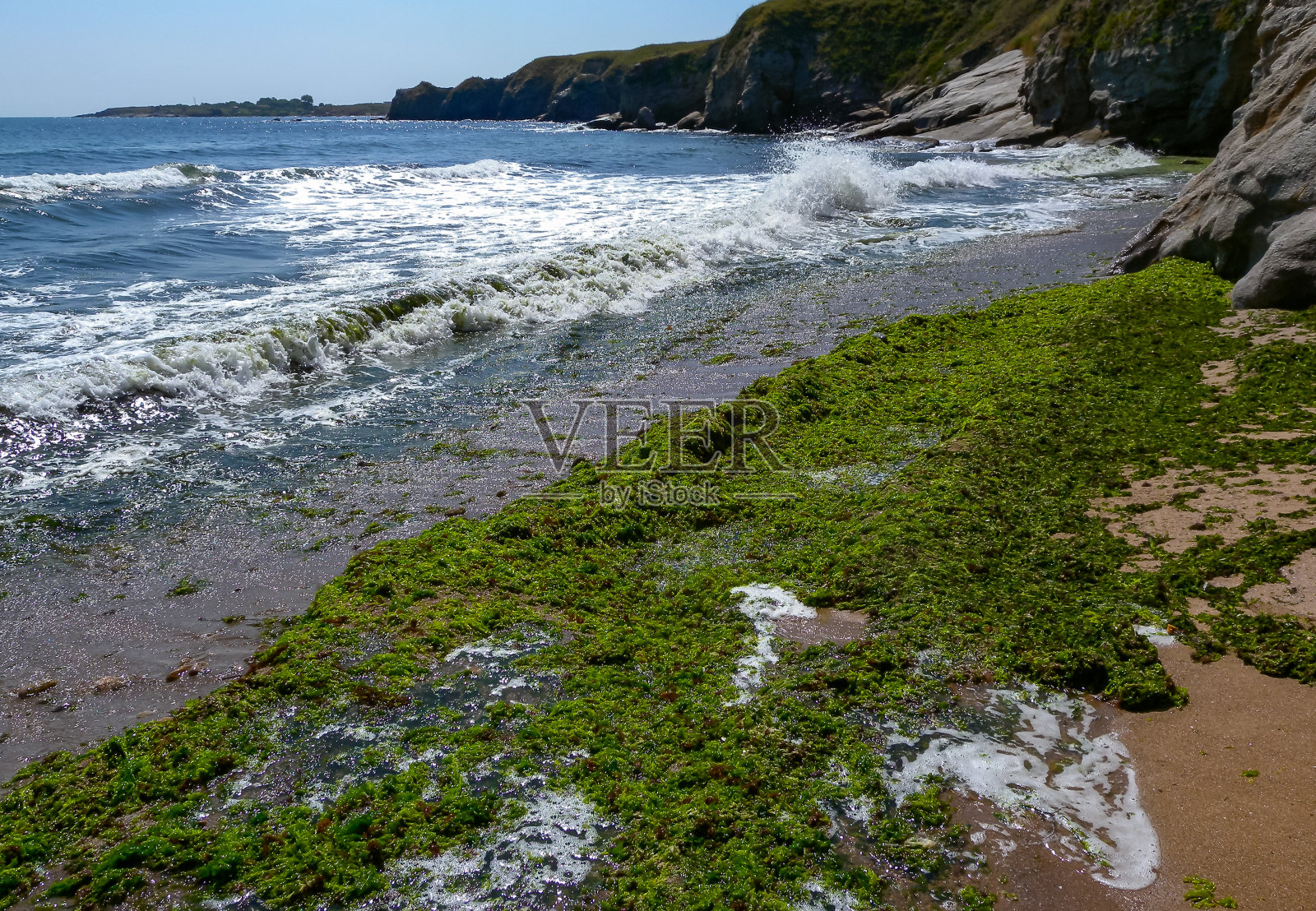 保加利亚黑海风暴冲刷上岸的腐烂红绿藻照片摄影图片