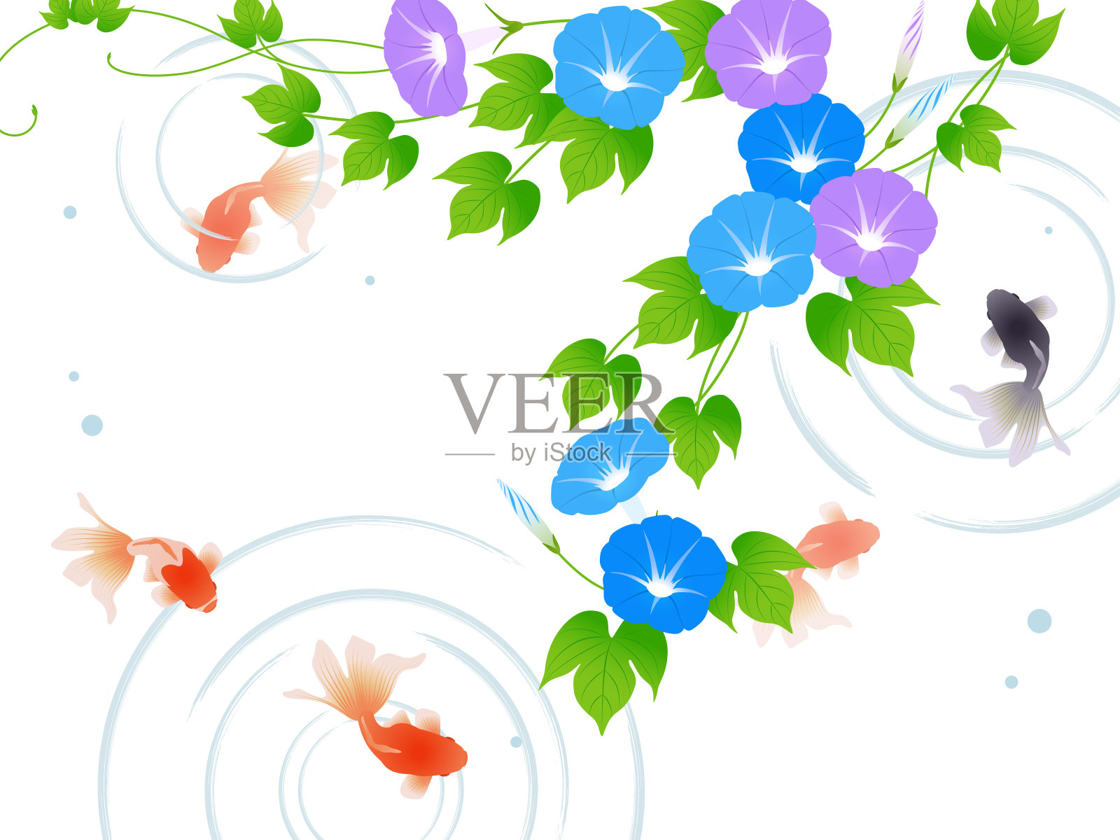金鱼和牵牛花的背景框架插画图片素材