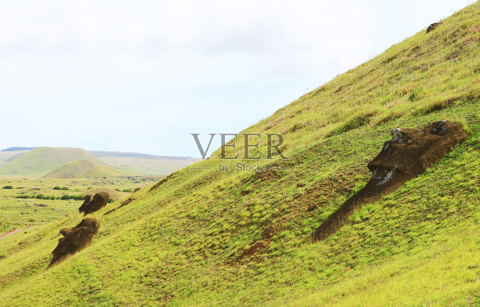 一群被遗弃的巨大的摩埃石像散落在拉诺·拉拉库火山的斜坡上，这是一个历史悠久的摩埃石像采石场，位于南美洲智利的复活节岛上照片摄影图片