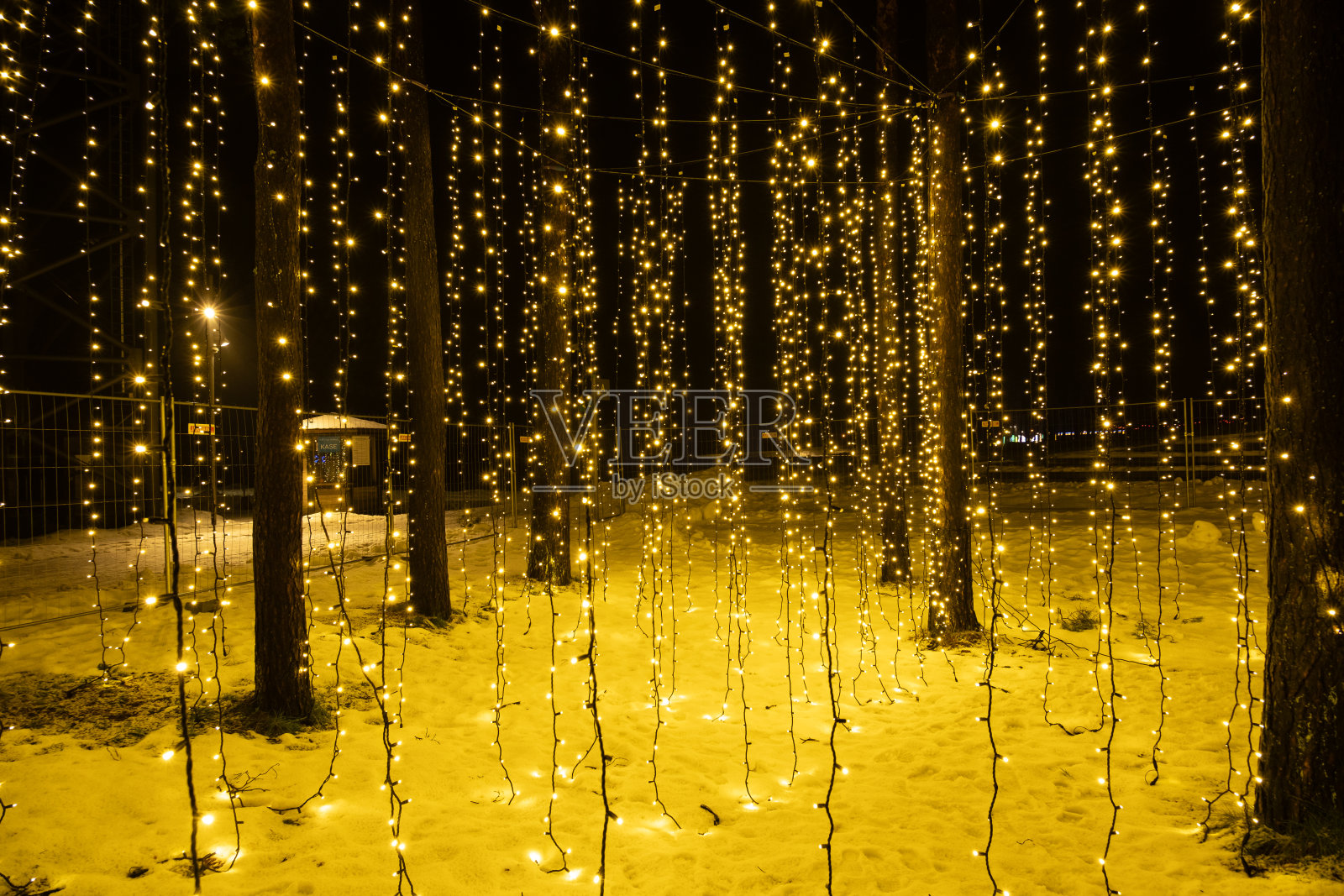 星空瀑布:白雪森林闪耀着落下的圣诞彩灯照片摄影图片