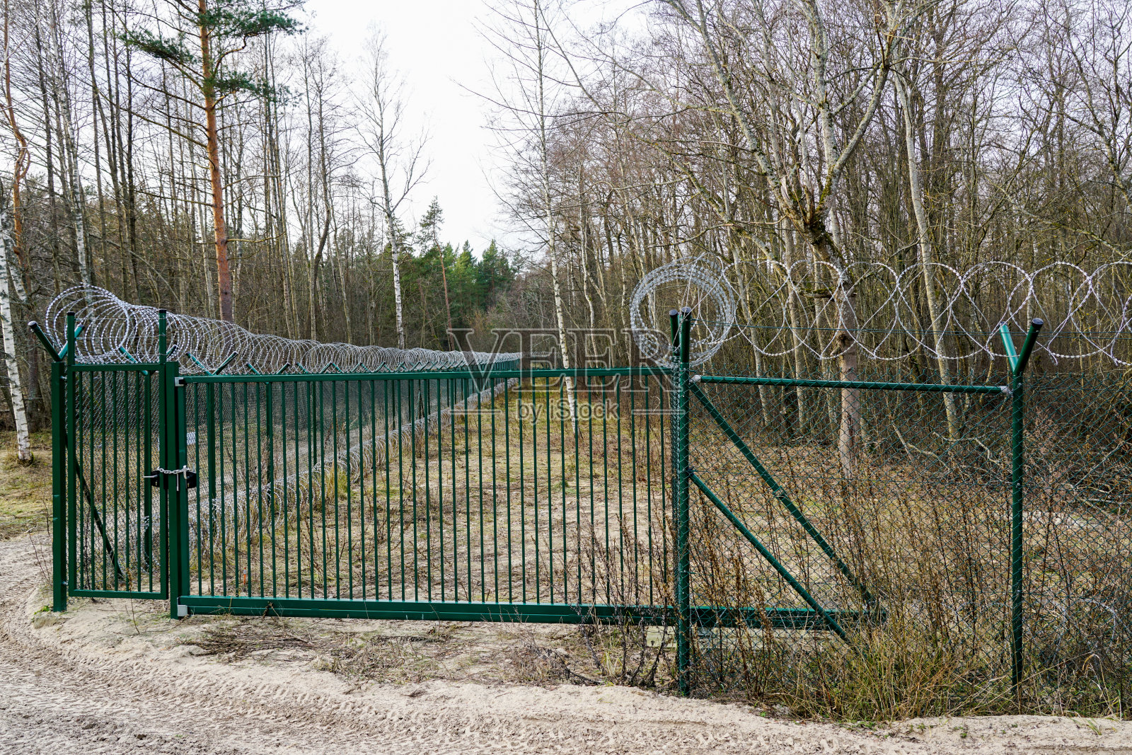 一个新的绿色金属网围栏与盘绕的倒刺铁丝和大门围绕禁区照片摄影图片