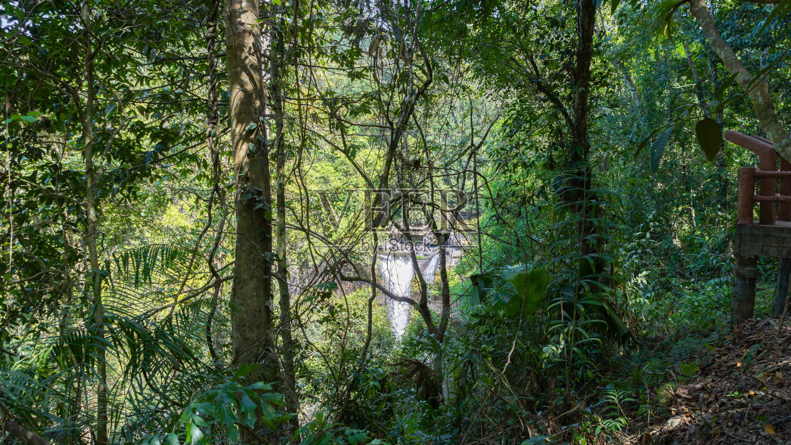 660照片摄影图片