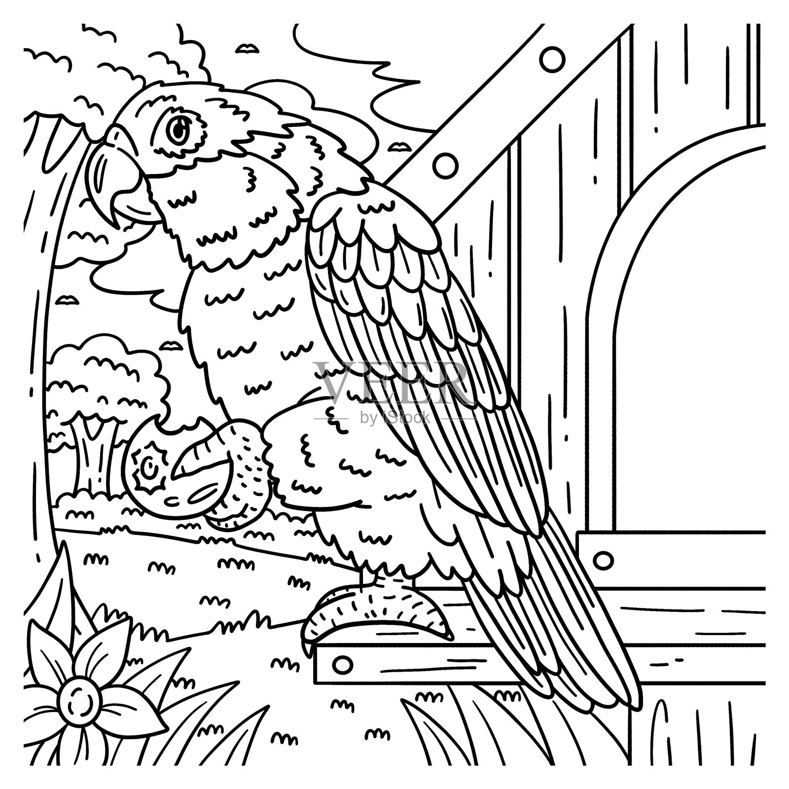 Cacique鸟类儿童着色页插画图片素材