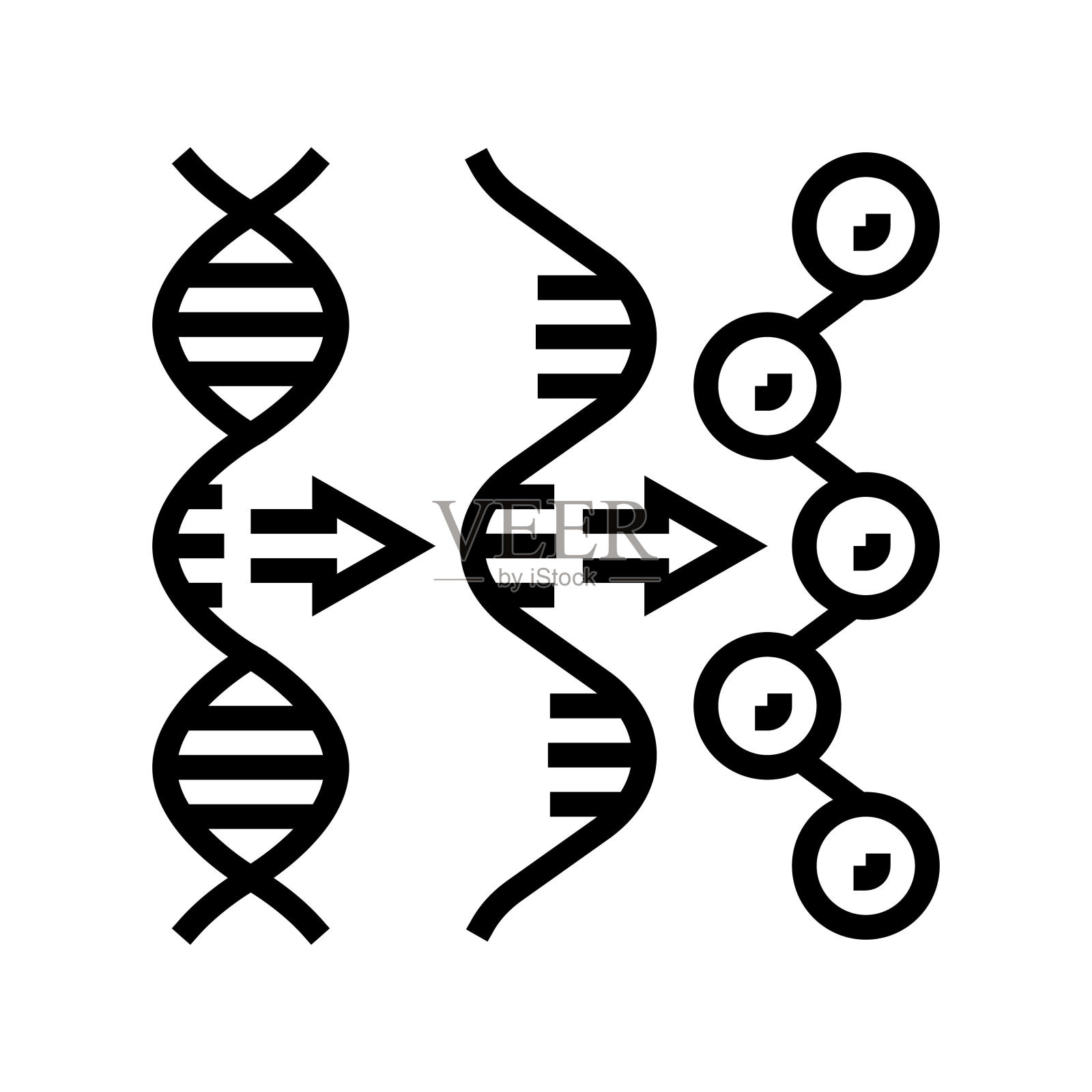 基因表达密码遗传学线性图标矢量图插画图片素材
