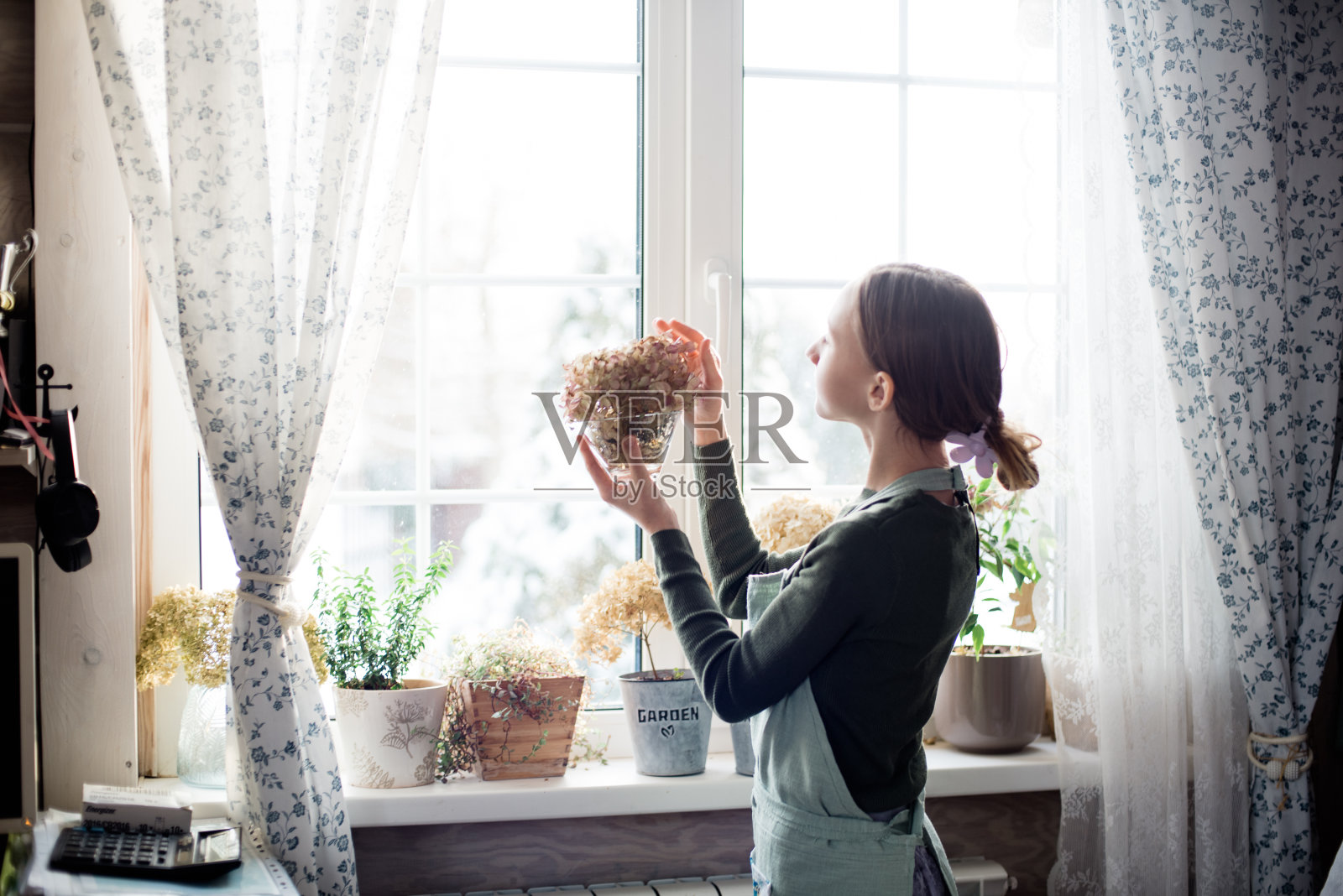 照顾鹤，女孩和窗边的花，照片摄影图片