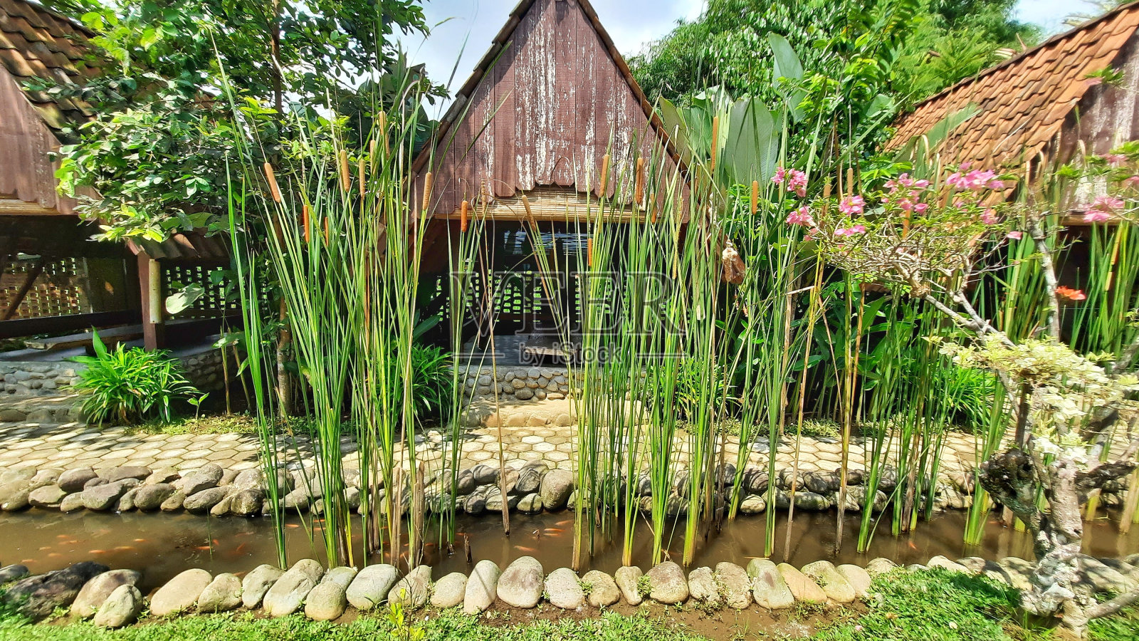 花园景观与露台，绿色植物，小池，水泥步道行人。乡村自然风光。花园的设计。照片摄影图片