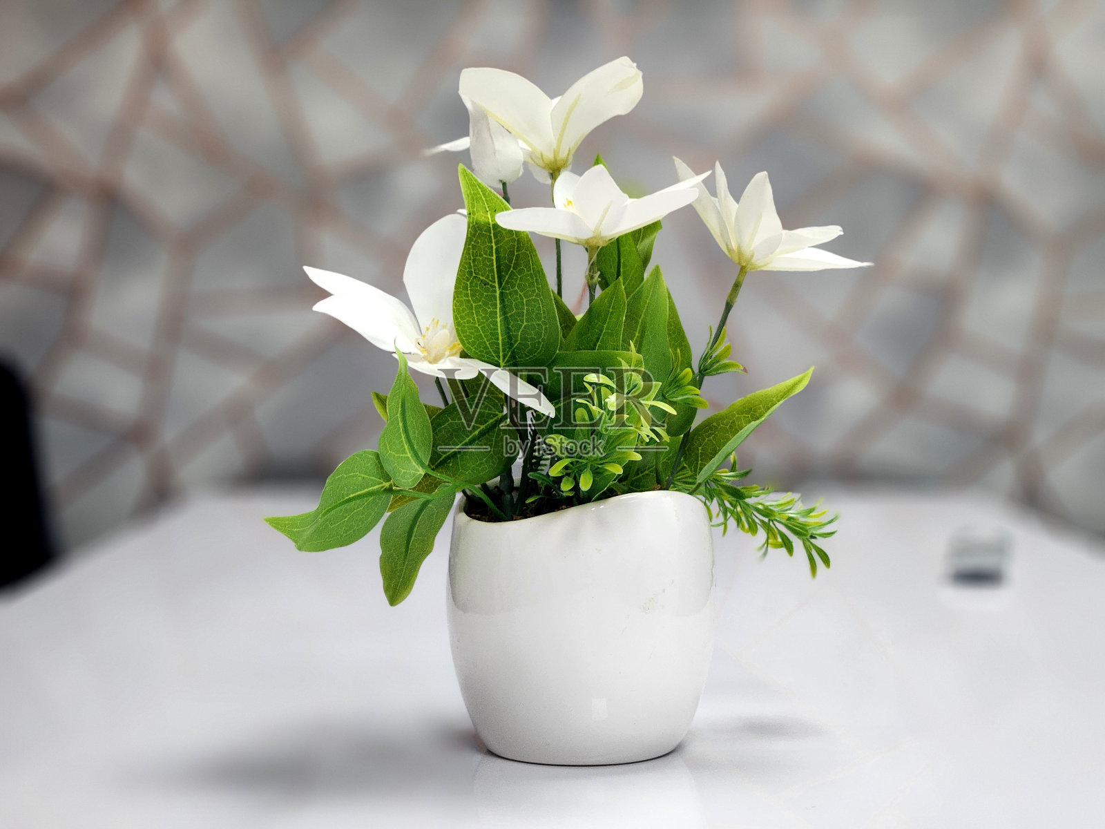 办公室桌子上盆栽植物的特写照片摄影图片