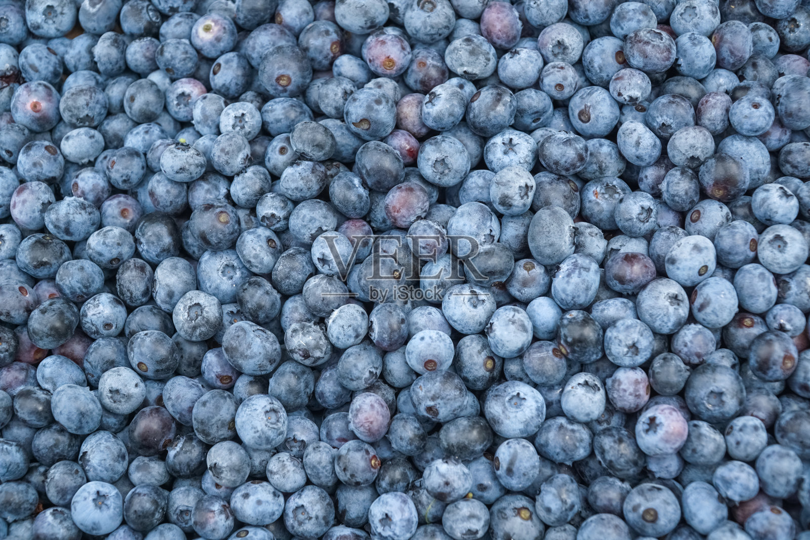 近距离拍摄新鲜蓝莓作为食物背景照片摄影图片