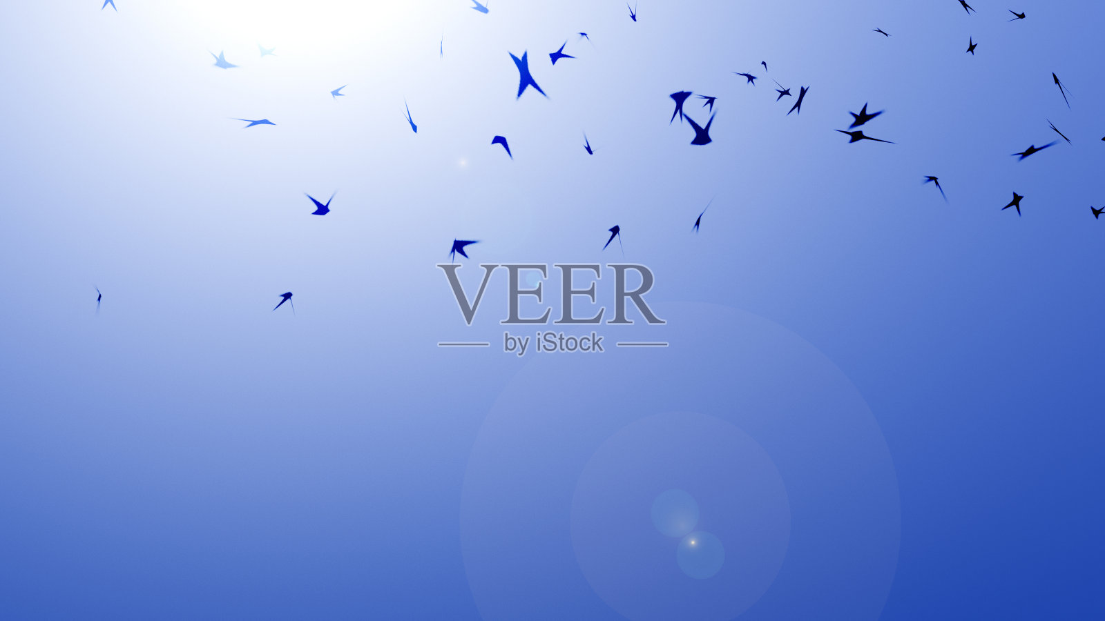 天空中的飞鸟是抽象的照片摄影图片