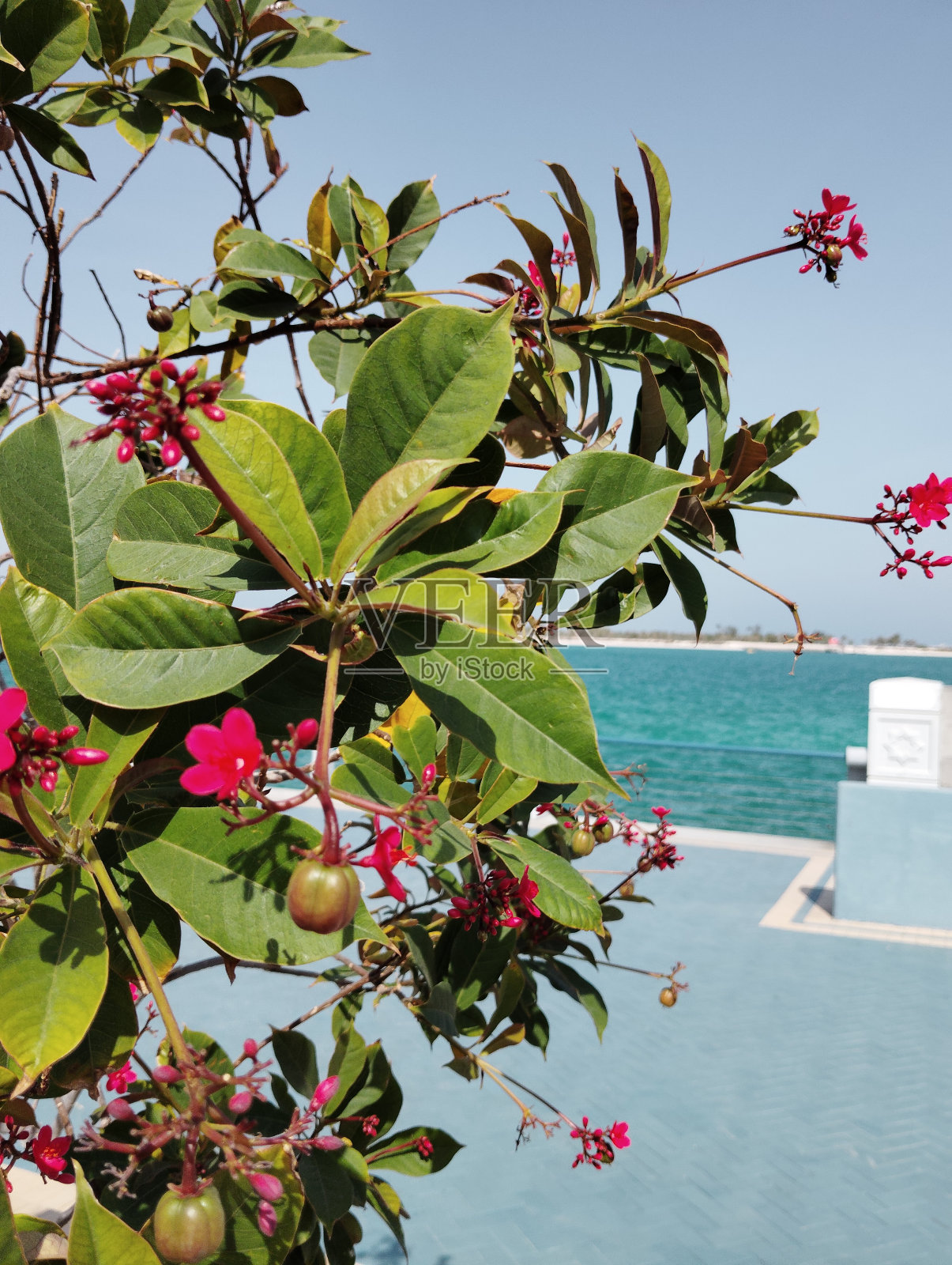 美丽的海滩照片摄影图片