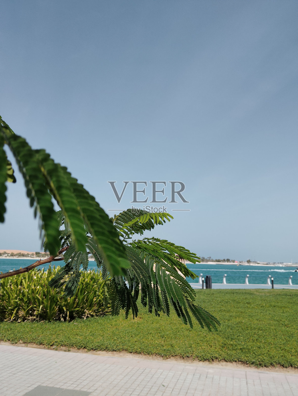 美丽的海滩照片摄影图片