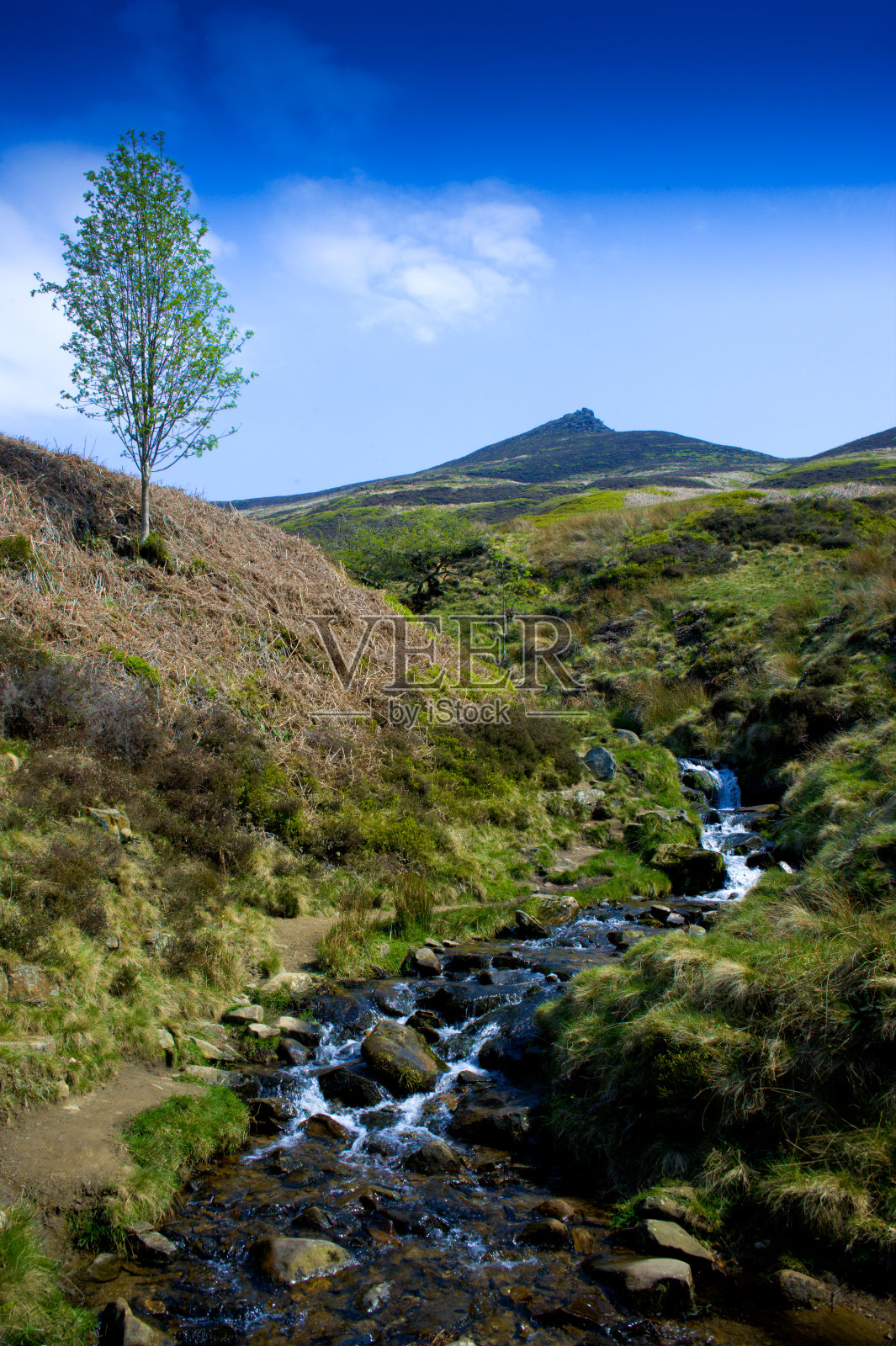 叶绿泥石方式照片摄影图片