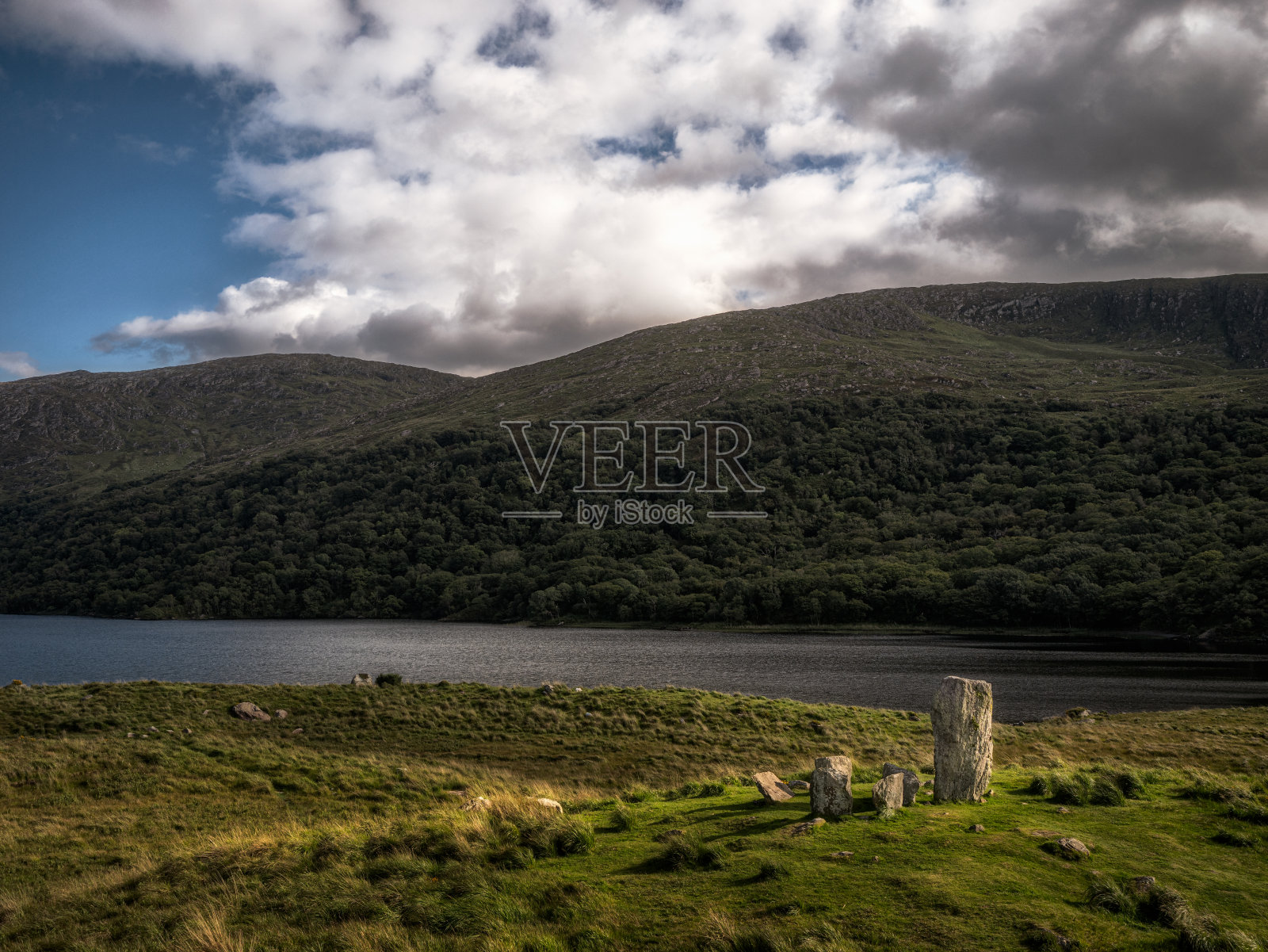 Uragh石圈爱尔兰照片摄影图片