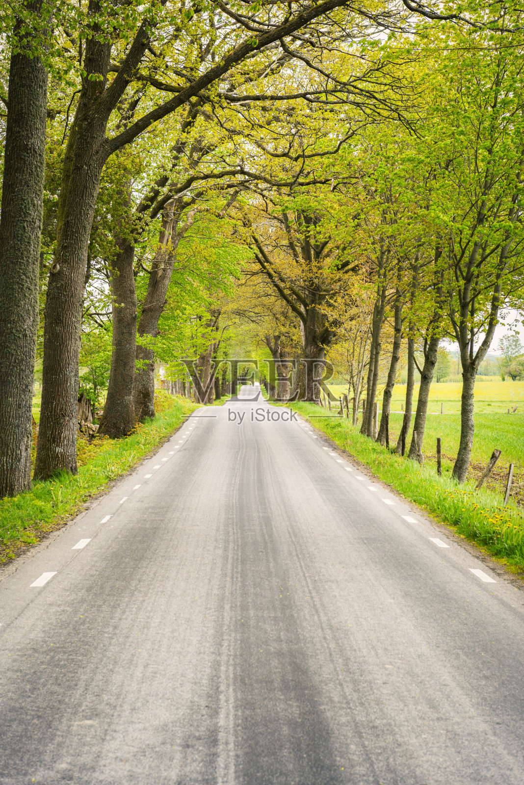 瑞典的乡村道路照片摄影图片