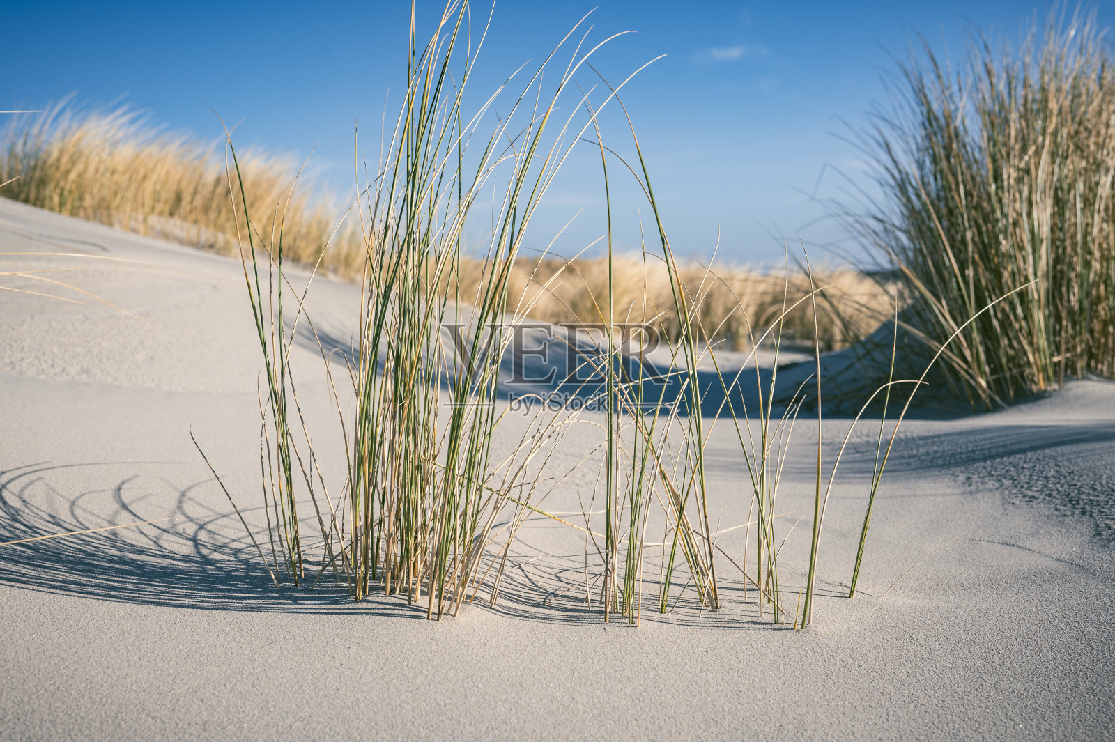 瓦登海斯希蒙尼克岛海滩照片摄影图片