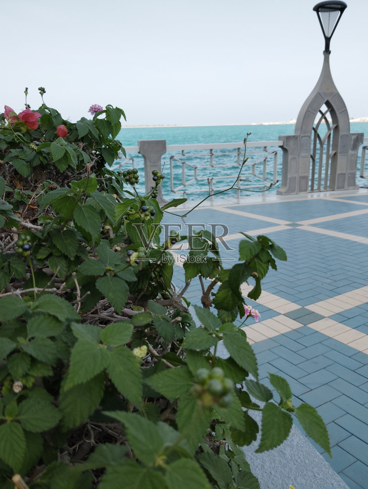 海滩美人照片摄影图片