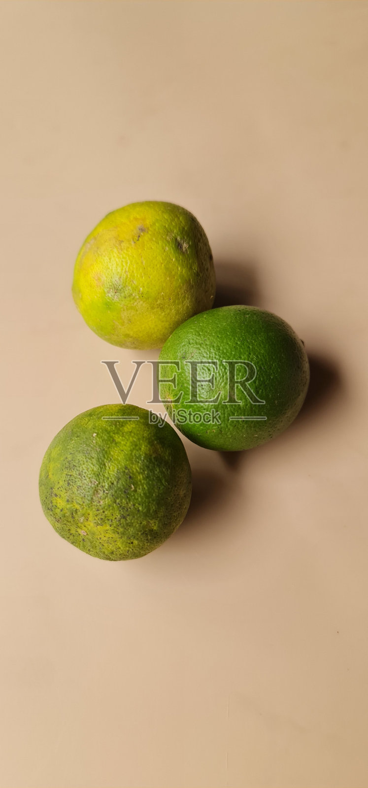 三种不同大小的酸橙，在米色背景中分离出来。它的高维生素C含量有助于提高身体的免疫力，防止感染和疾病。照片摄影图片