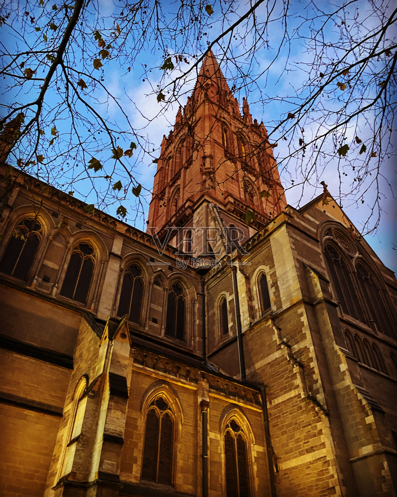 墨尔本地标——圣保罗大教堂照片摄影图片