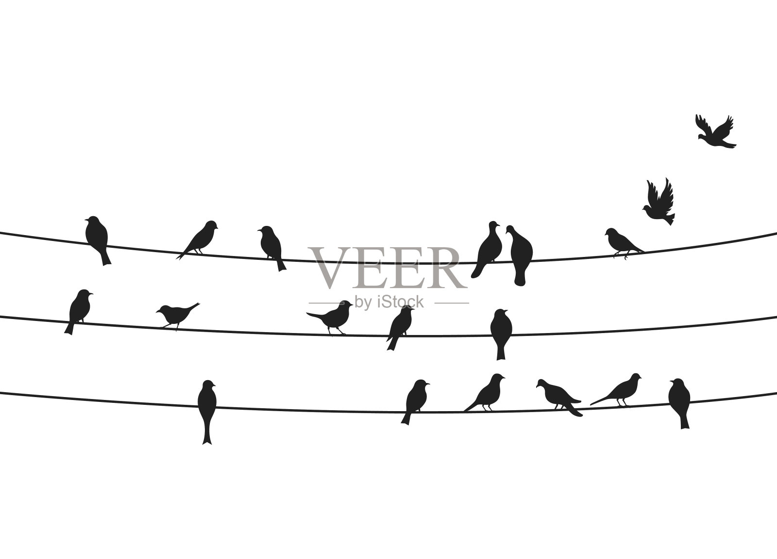 鸟群在电力线路电线矢量集插画图片素材