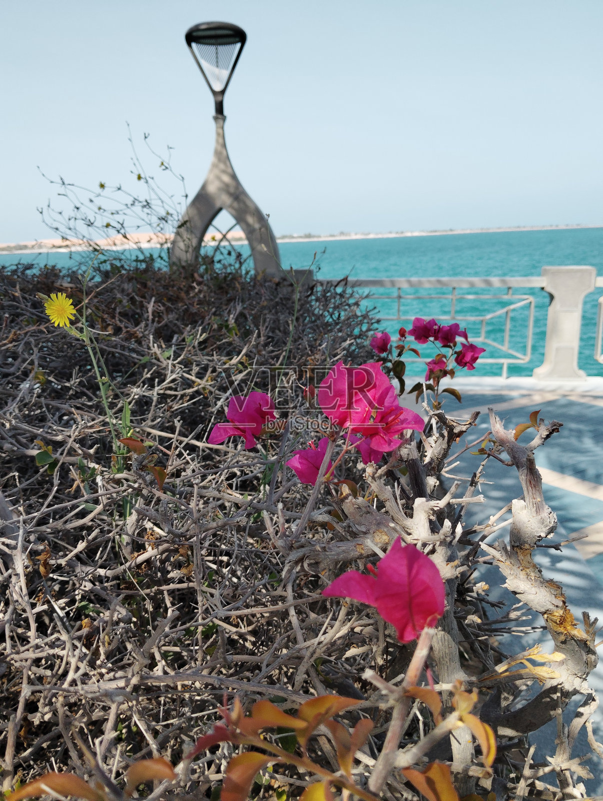 美丽的海滩照片摄影图片