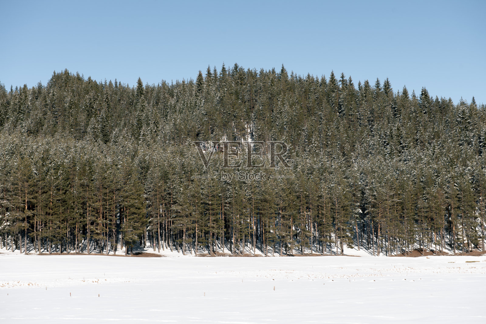 冬天的风景照片摄影图片