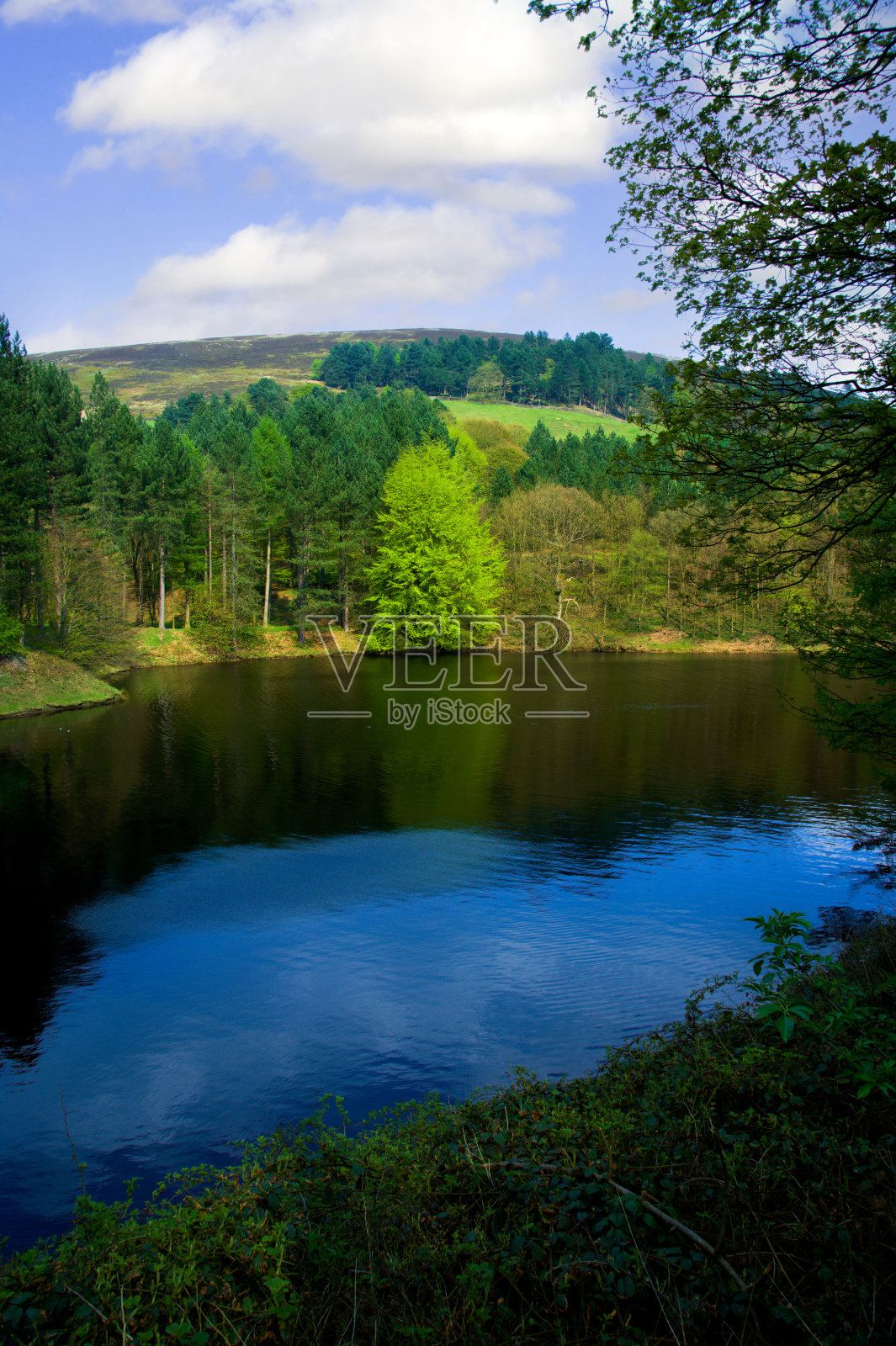 储层照片摄影图片