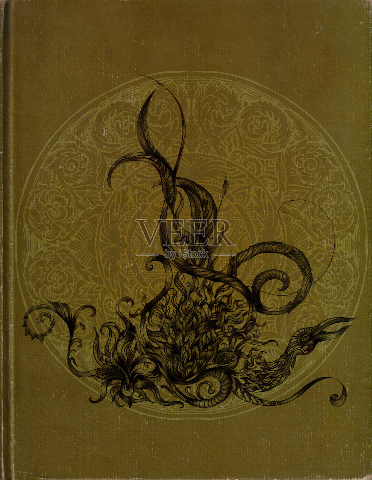 凤凰经插画图片素材