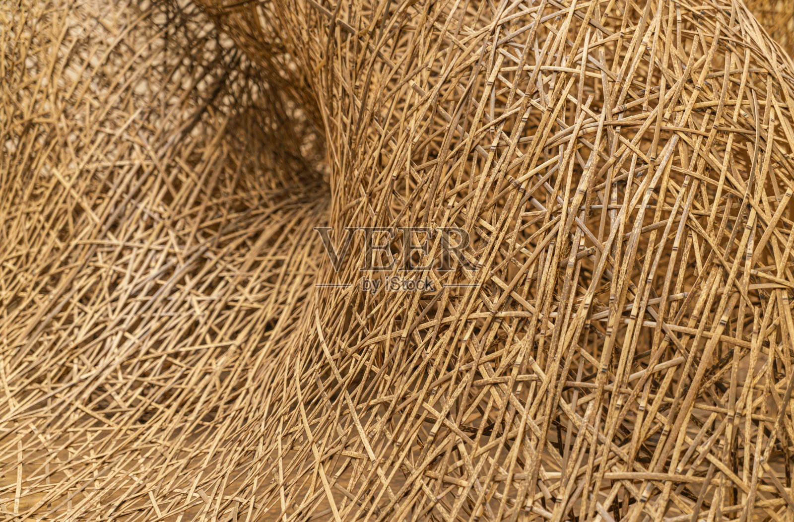 柳条背景照片摄影图片