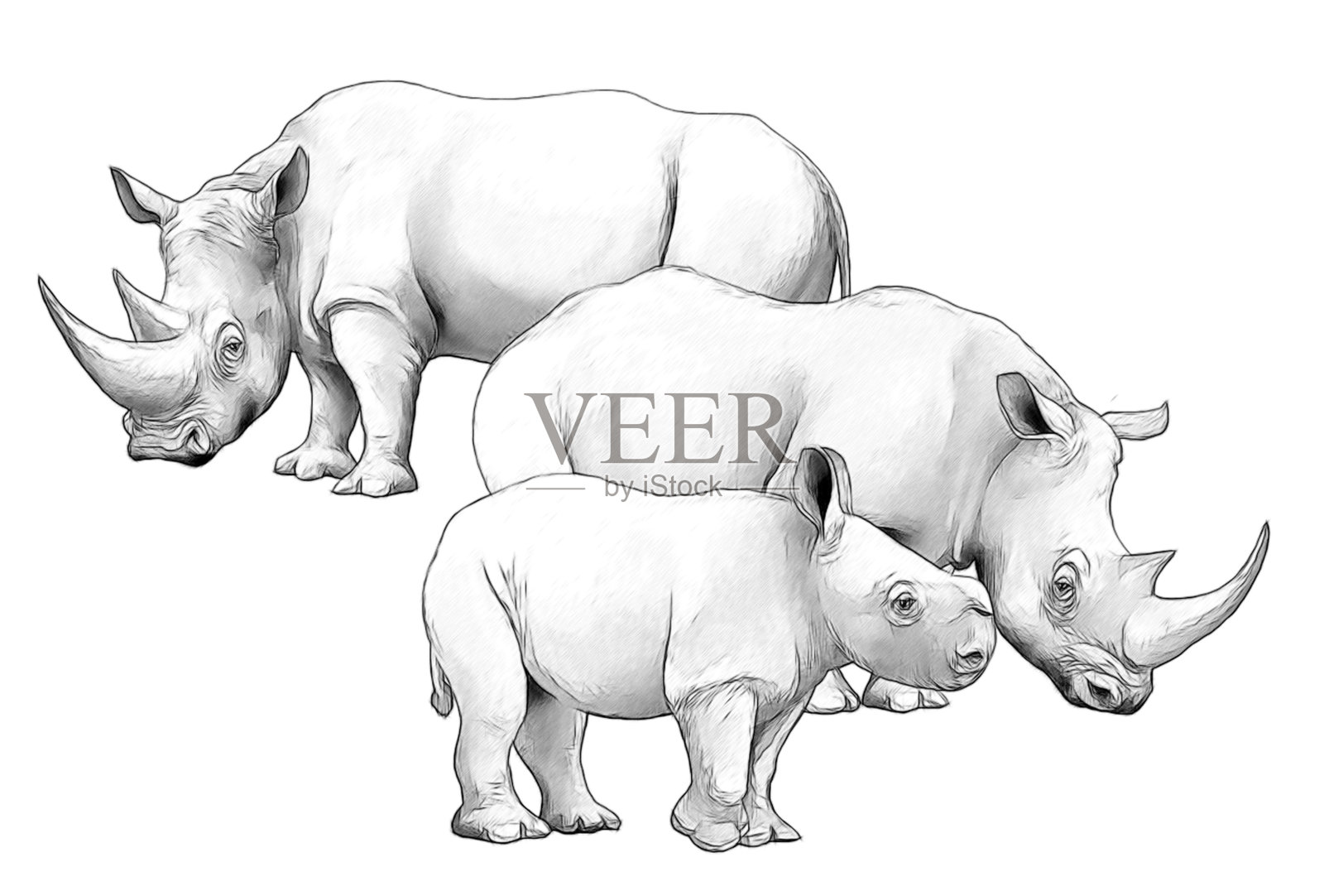 卡通场景与犀牛野生动物园动物着色页插图为儿童插画图片素材