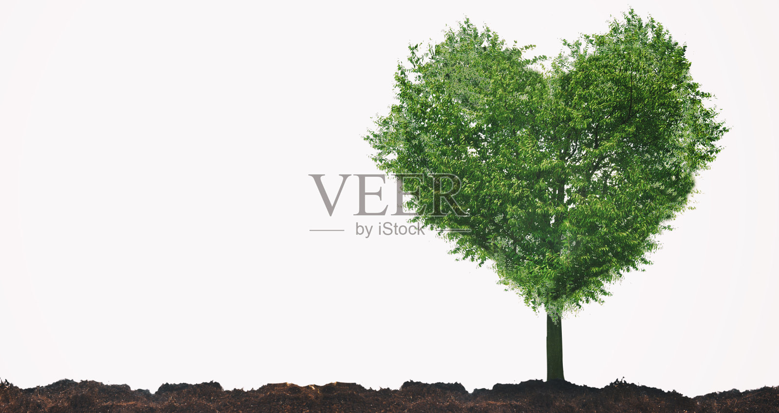 树照片摄影图片