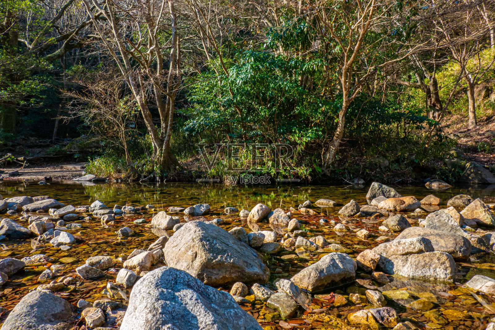 冬天的小溪照片摄影图片