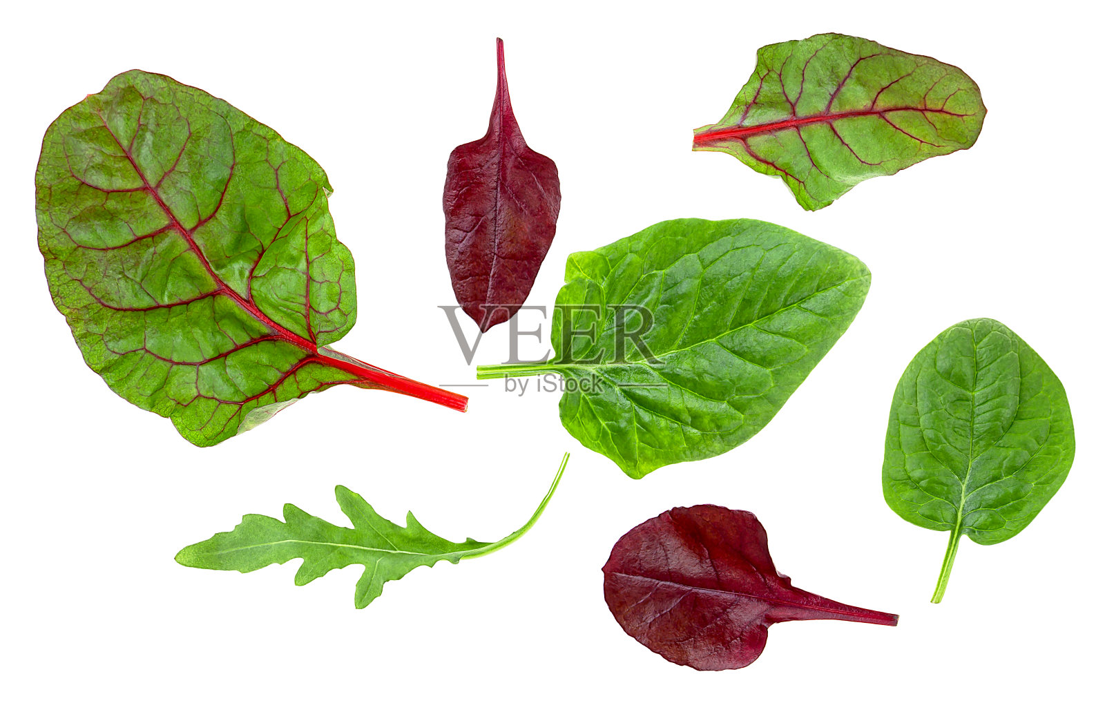 孤立的混合沙拉叶与菠菜，甜菜，生菜和芝麻菜隔离在白色背景，俯视图。收集莴苣叶。照片摄影图片