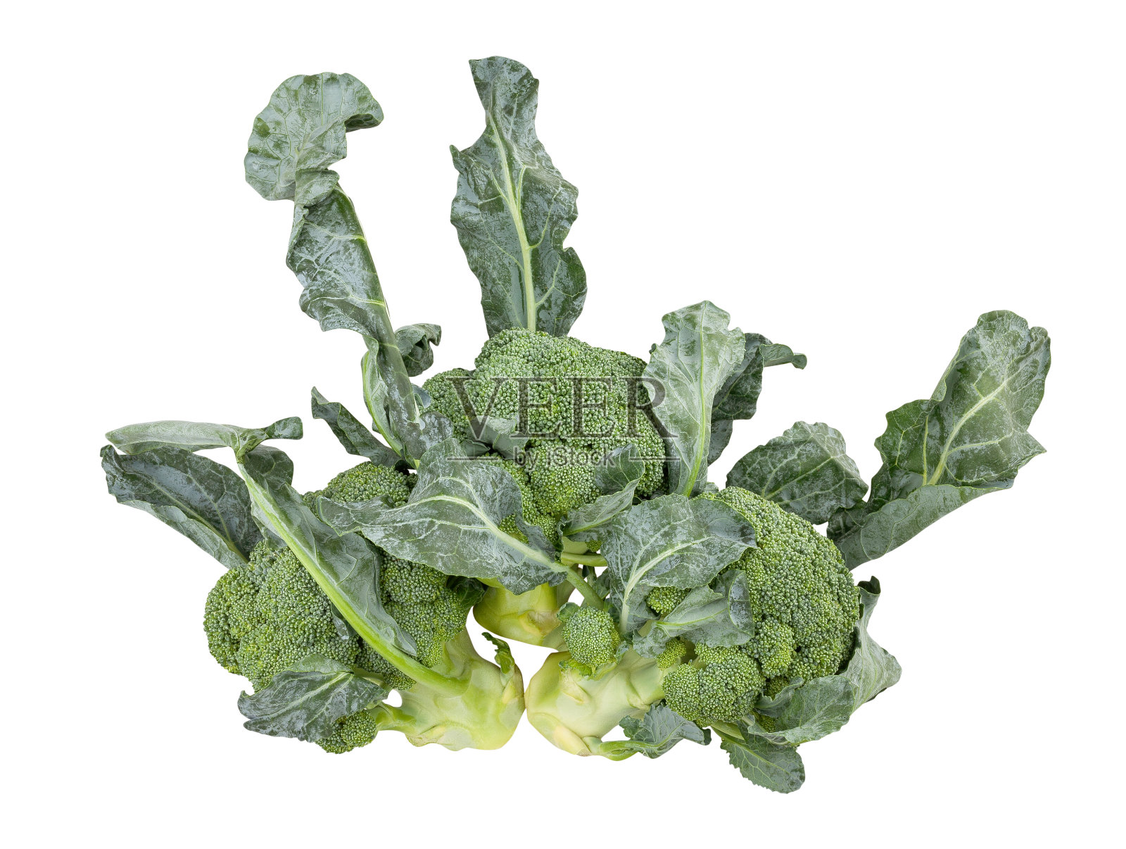 西兰花路径分离照片摄影图片