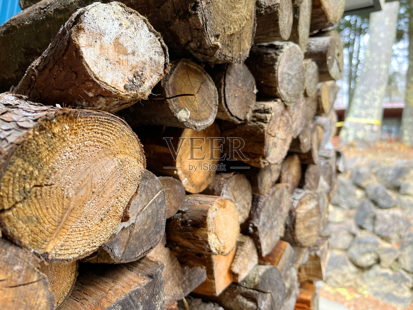 堆放在木柴架上的木柴照片摄影图片