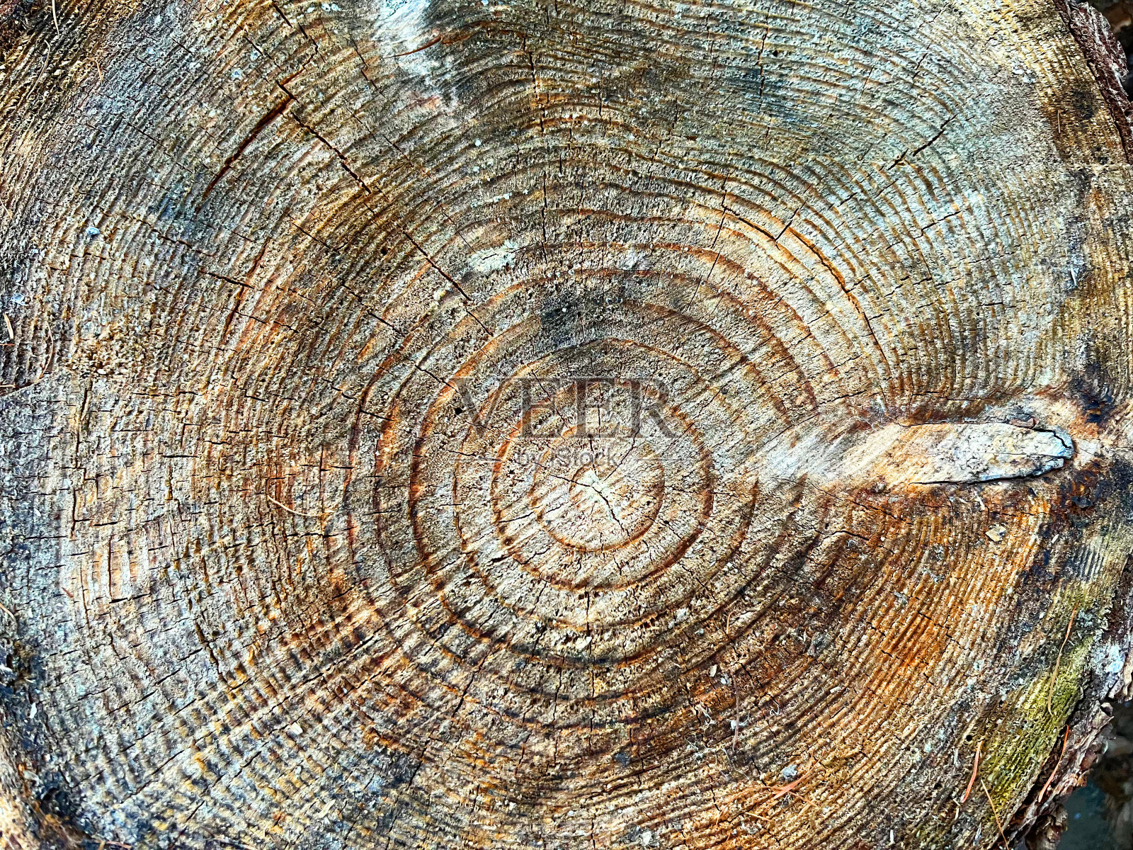 堆放在木柴架上的木柴照片摄影图片