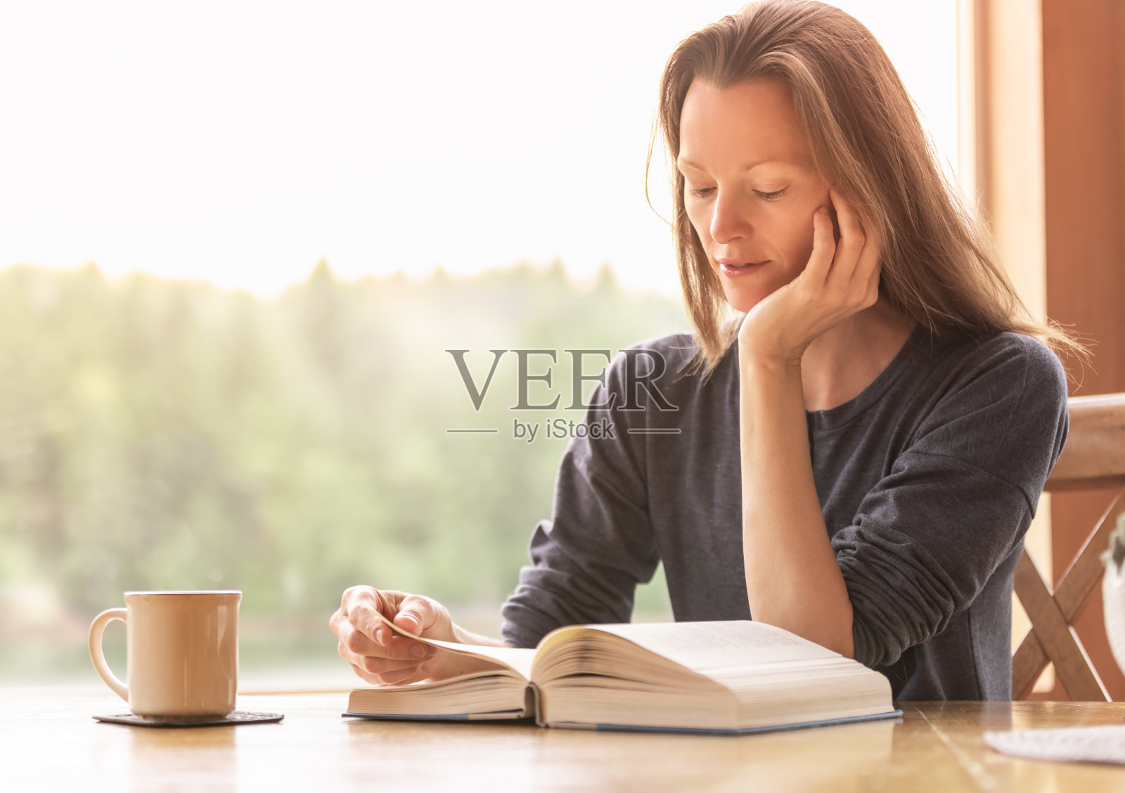 早上在家看书的女人。照片摄影图片
