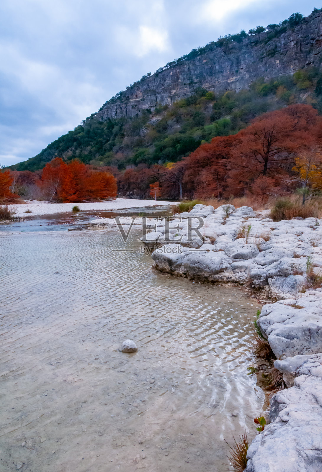 秋天的风景。沿着河岸的沼泽柏树和其他黄色叶子的树木。美国德克萨斯州加纳州立公园照片摄影图片