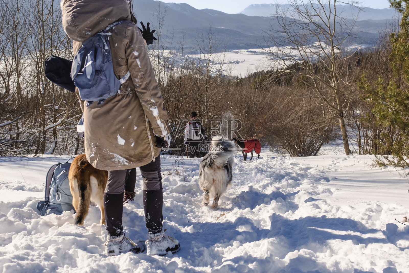 在雪地里快乐的一天照片摄影图片
