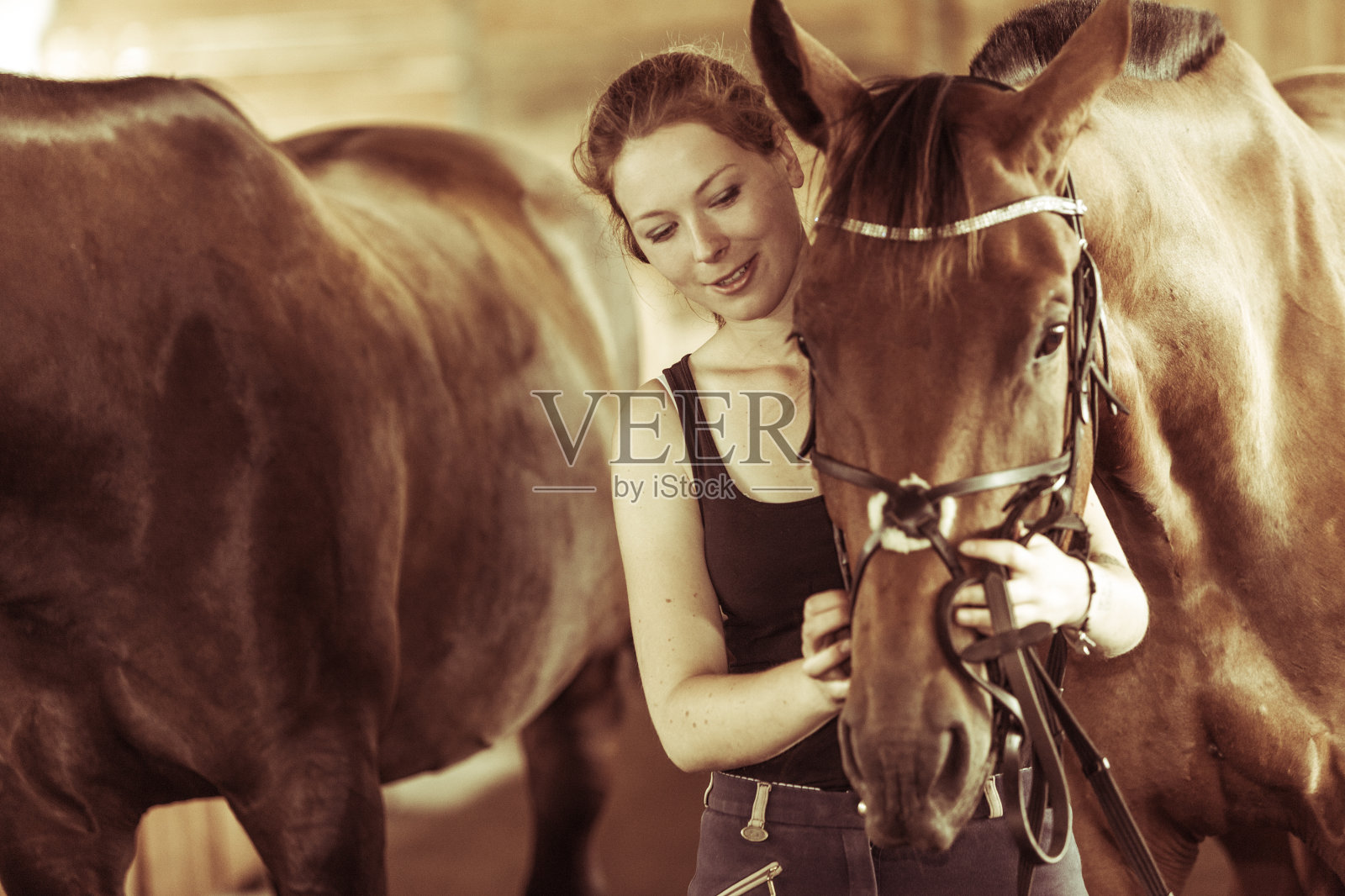 女人抱着马厩里的棕色马照片摄影图片