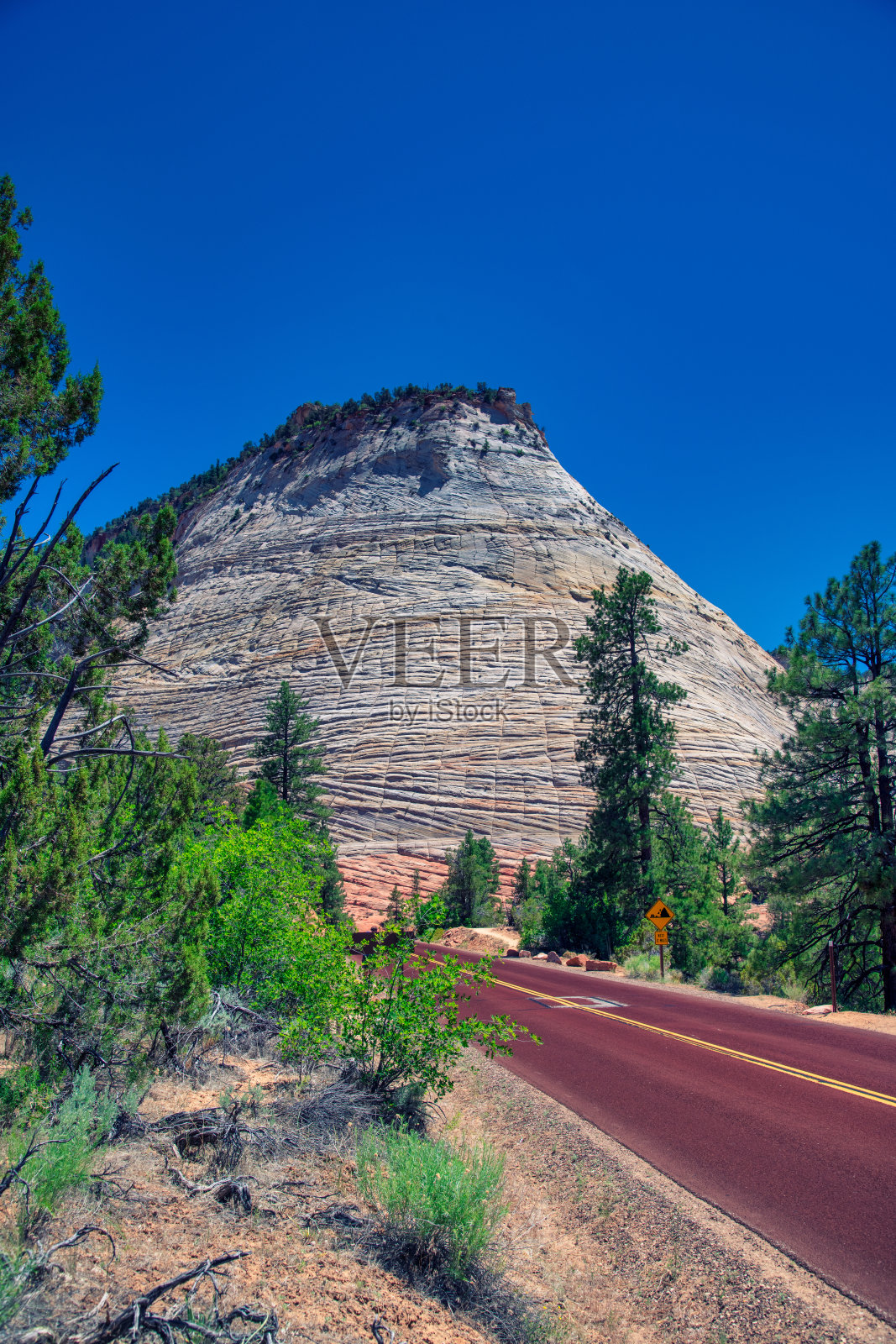 红色的道路穿过峡谷，进入锡安国家公园照片摄影图片