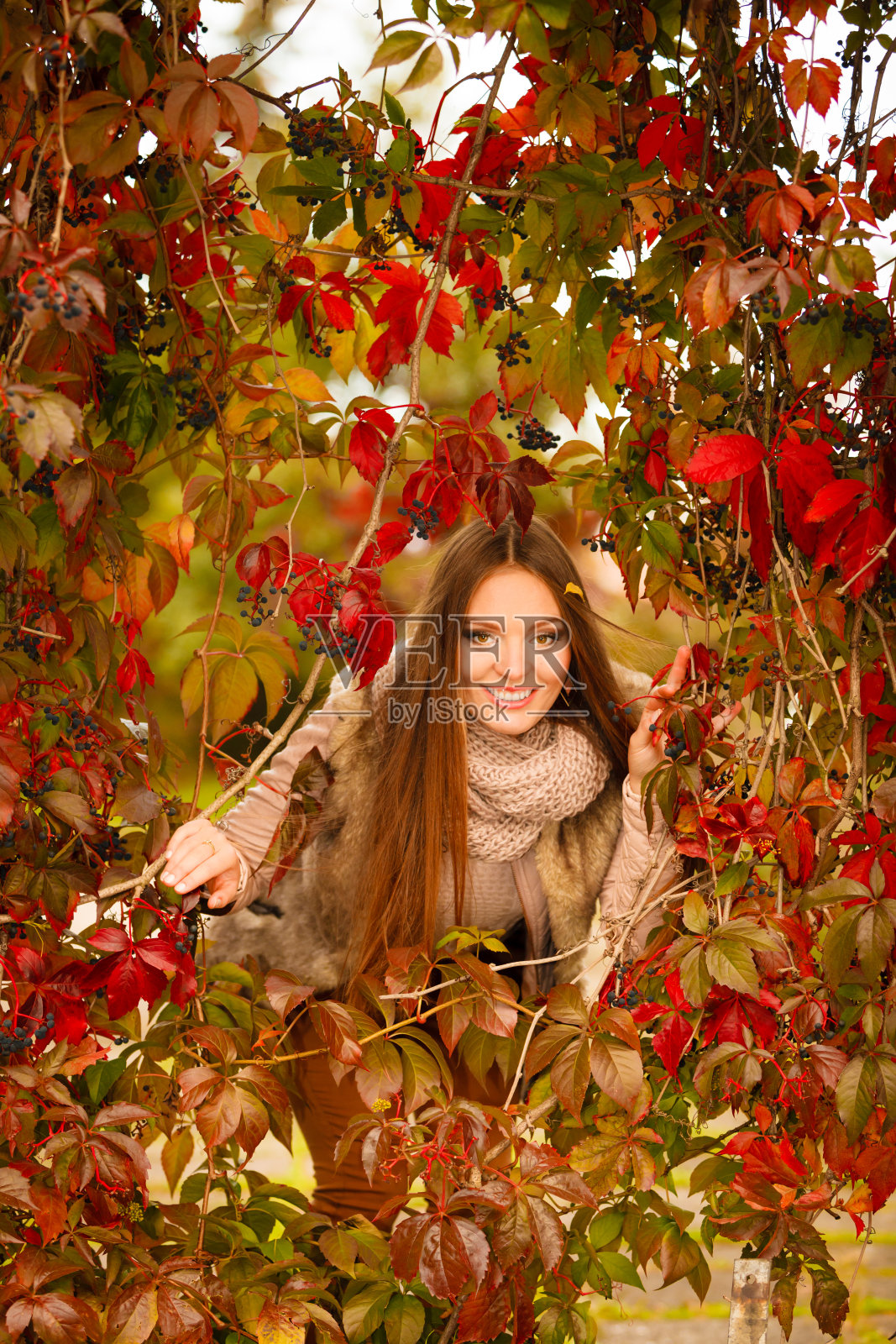 肖像女孩在秋天的公园里放松地散步。照片摄影图片