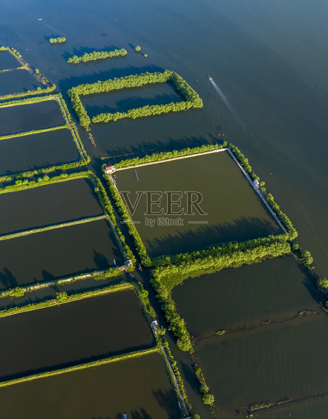 抽象航空图像广泛的虾养殖池塘沿潭江泻湖，顺化顺化省照片摄影图片