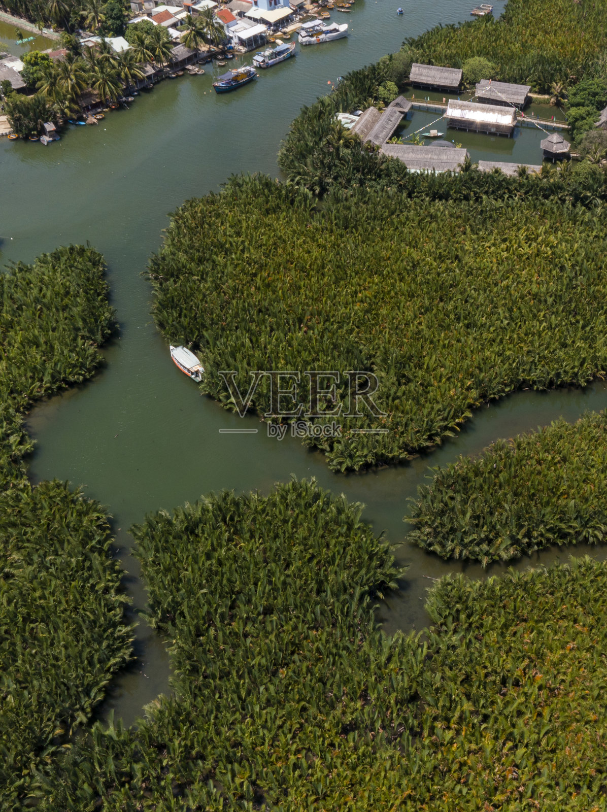 红树林生态区与尼帕棕榈树，七英亩椰林，广南省照片摄影图片