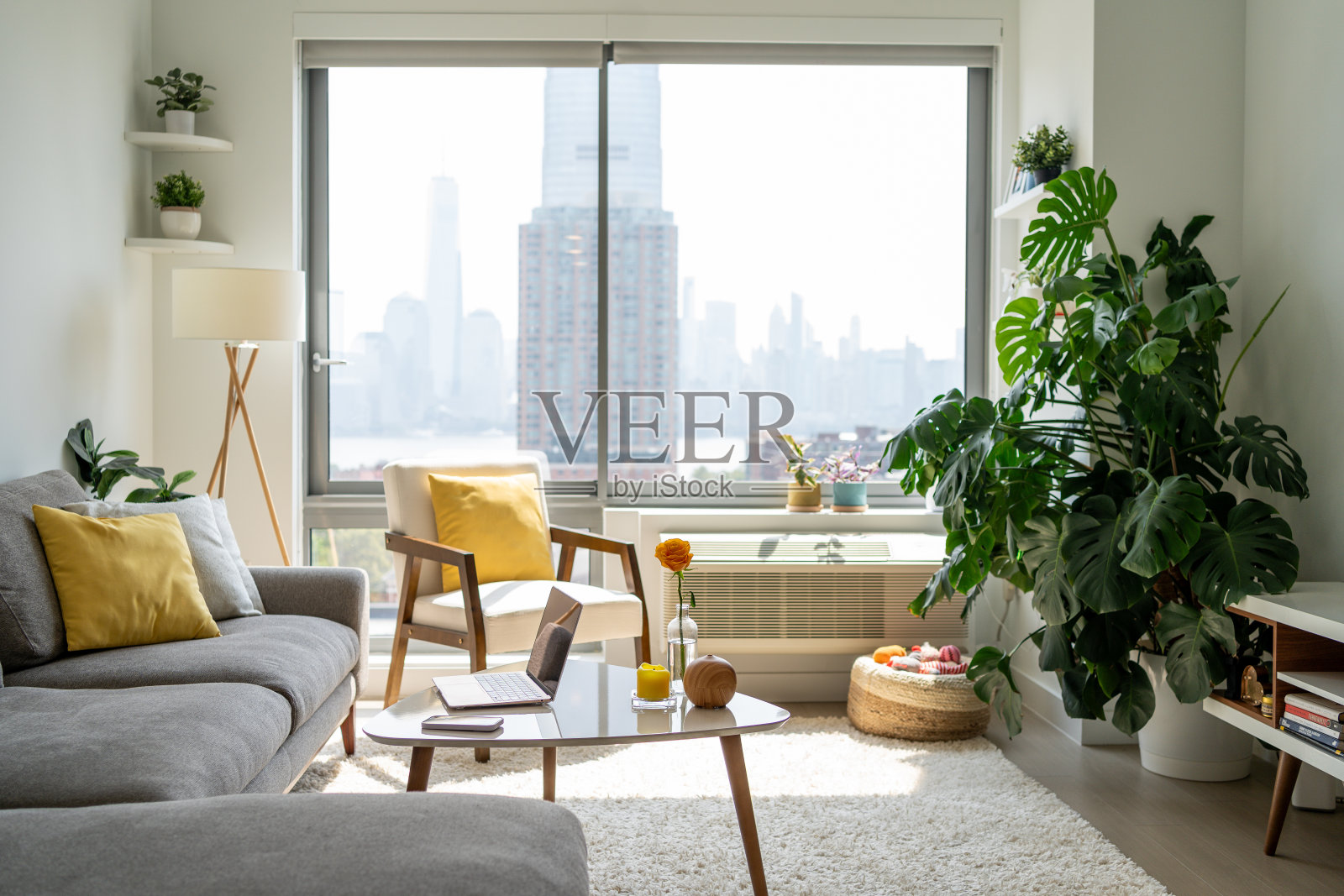 舒适的公寓装饰照片摄影图片