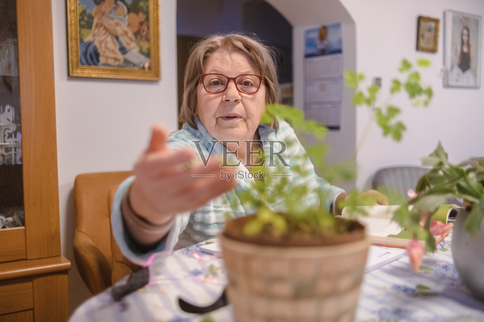 高年级女生在读一本关于室内植物的书照片摄影图片