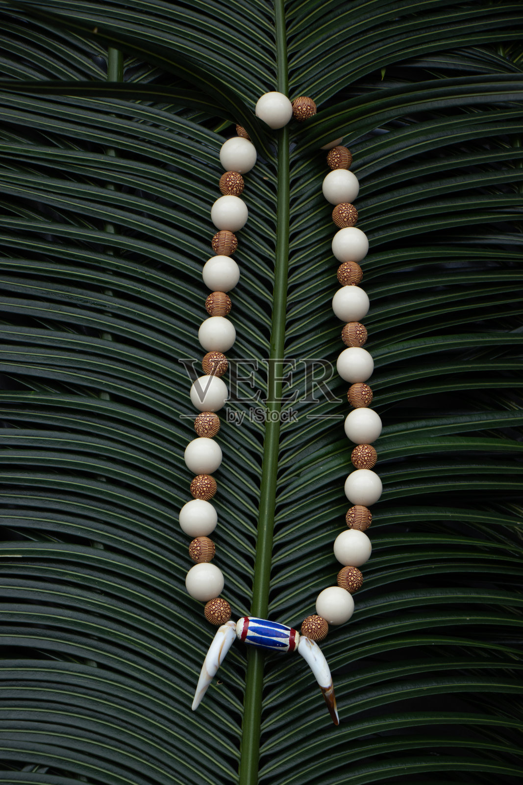 非洲巨人/非洲杯照片摄影图片