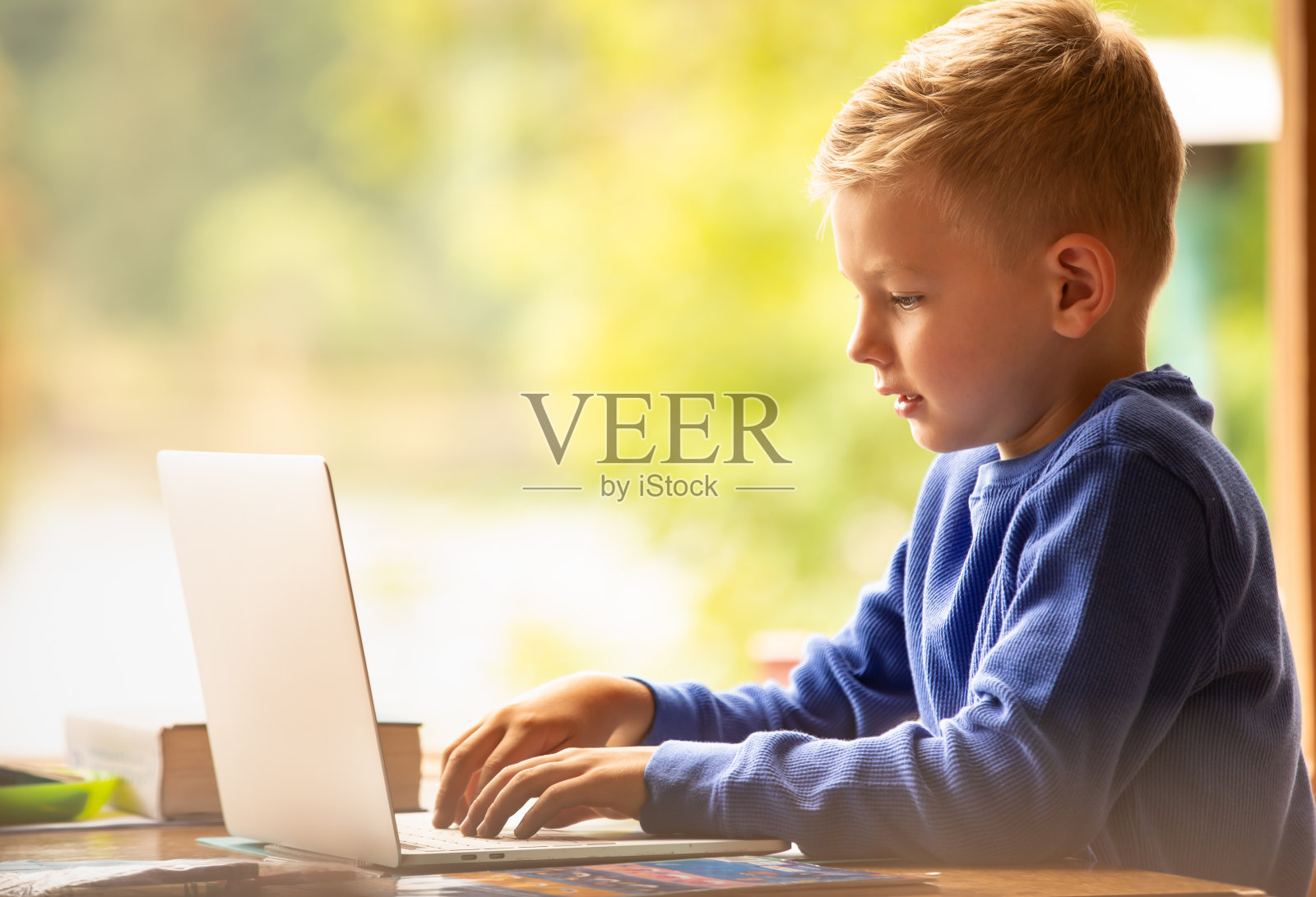 小男孩用电脑打字学习做作业照片摄影图片