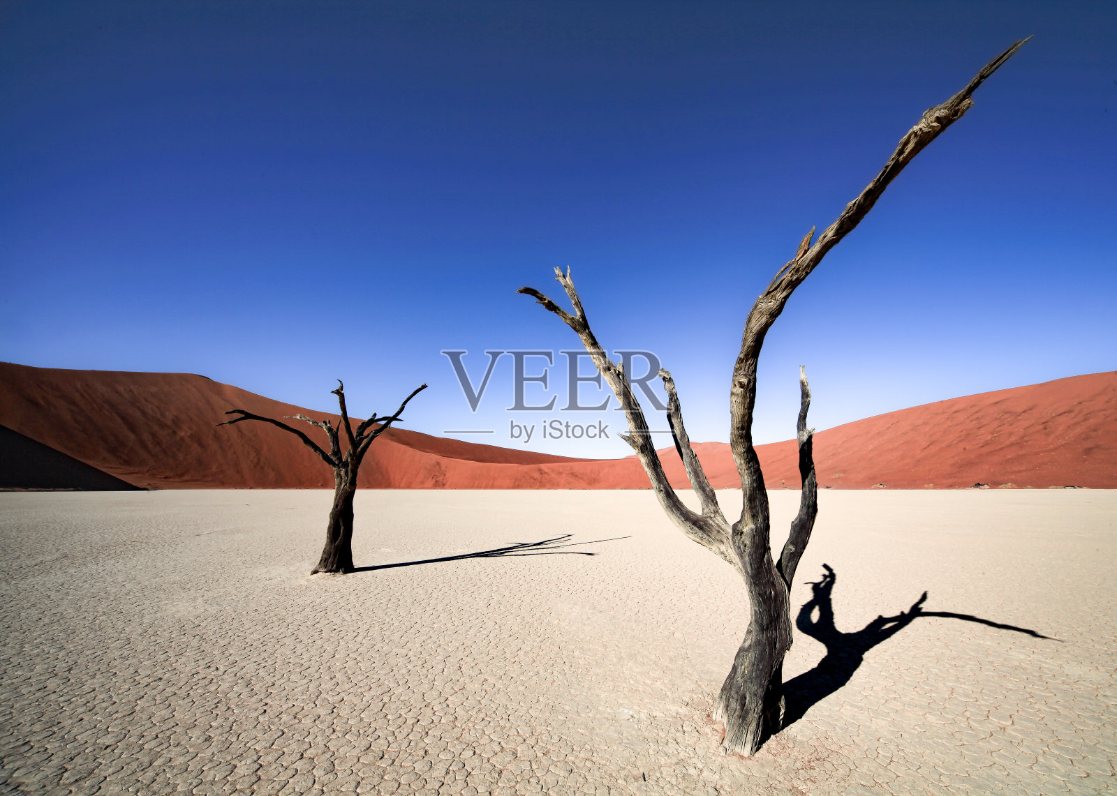 纳米比亚不同的风景照片摄影图片