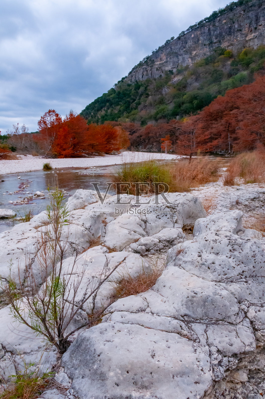 秋天的风景。沿着河岸的沼泽柏树和其他黄色叶子的树木。美国德克萨斯州加纳州立公园照片摄影图片